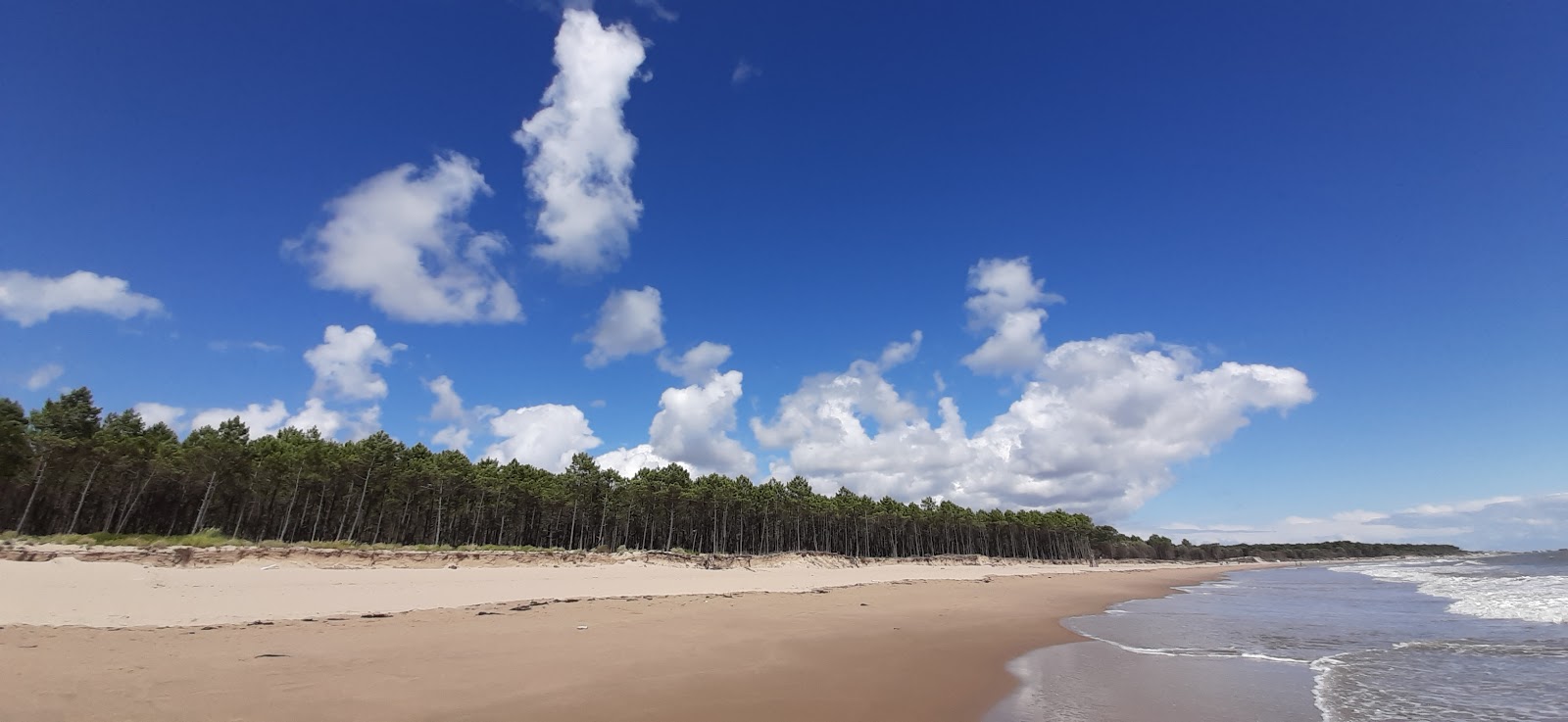 Fotografija Pins de Cordouan z beli pesek površino