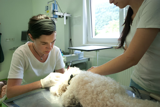Tierarztpraxis Dr. Daniela Mamic unter Traben-Trarbach, 