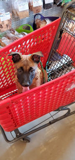 Pet Supply Store «Essex County Co-Op», reviews and photos, 146 S Main St, Topsfield, MA 01983, USA