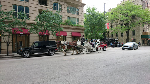 Museum «The Richard H. Driehaus Museum», reviews and photos, 40 E Erie St, Chicago, IL 60611, USA