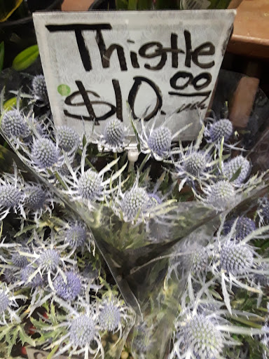 Grocery Store «Whole Foods Market», reviews and photos, 239 N Crescent Dr, Beverly Hills, CA 90210, USA