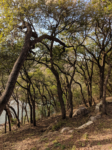 Bar «Gruene Hall», reviews and photos, 1281 Gruene Rd, New Braunfels, TX 78130, USA