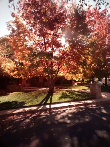 Golf Course «Applewood Golf Course», reviews and photos, 14001 W 32nd Ave, Golden, CO 80401, USA