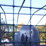 Photo n°8 de l'avis de Piotr.y fait le 18/10/2018 à 15:50 sur le  Hotel Landhaus Nassau à Meissen
