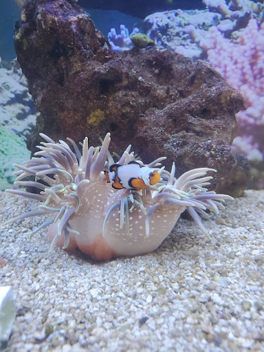 Pet Supply Store «Petco Animal Supplies», reviews and photos, 2140 E Blvd St, Kokomo, IN 46902, USA