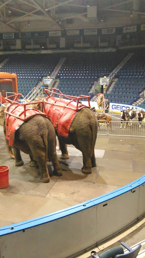 Arena «Germain Arena», reviews and photos, 11000 Everblades Parkway, Estero, FL 33928, USA