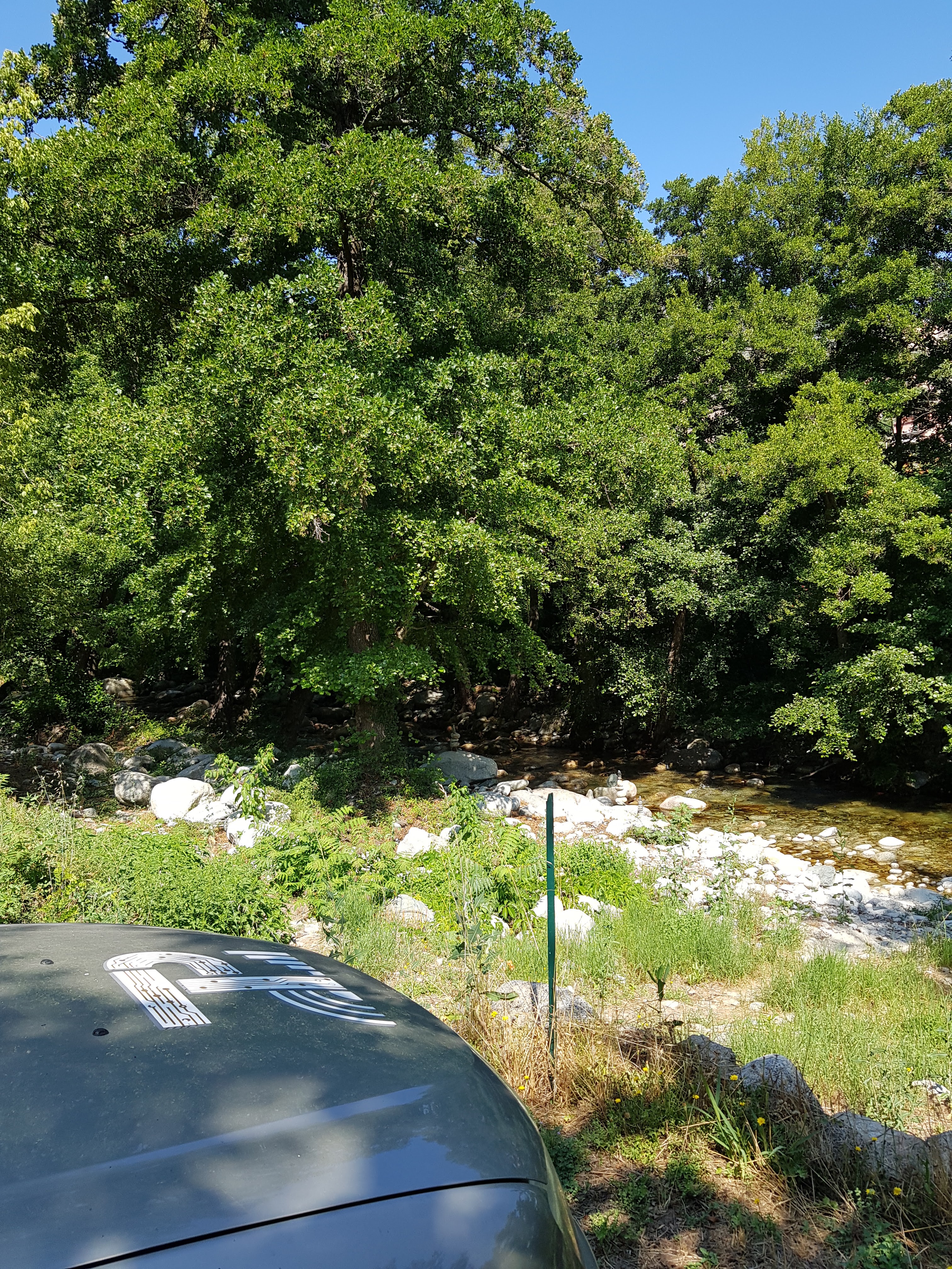 Photo n° 2 de l'avis de Nelly.I fait le 31/07/2018 à 15:17