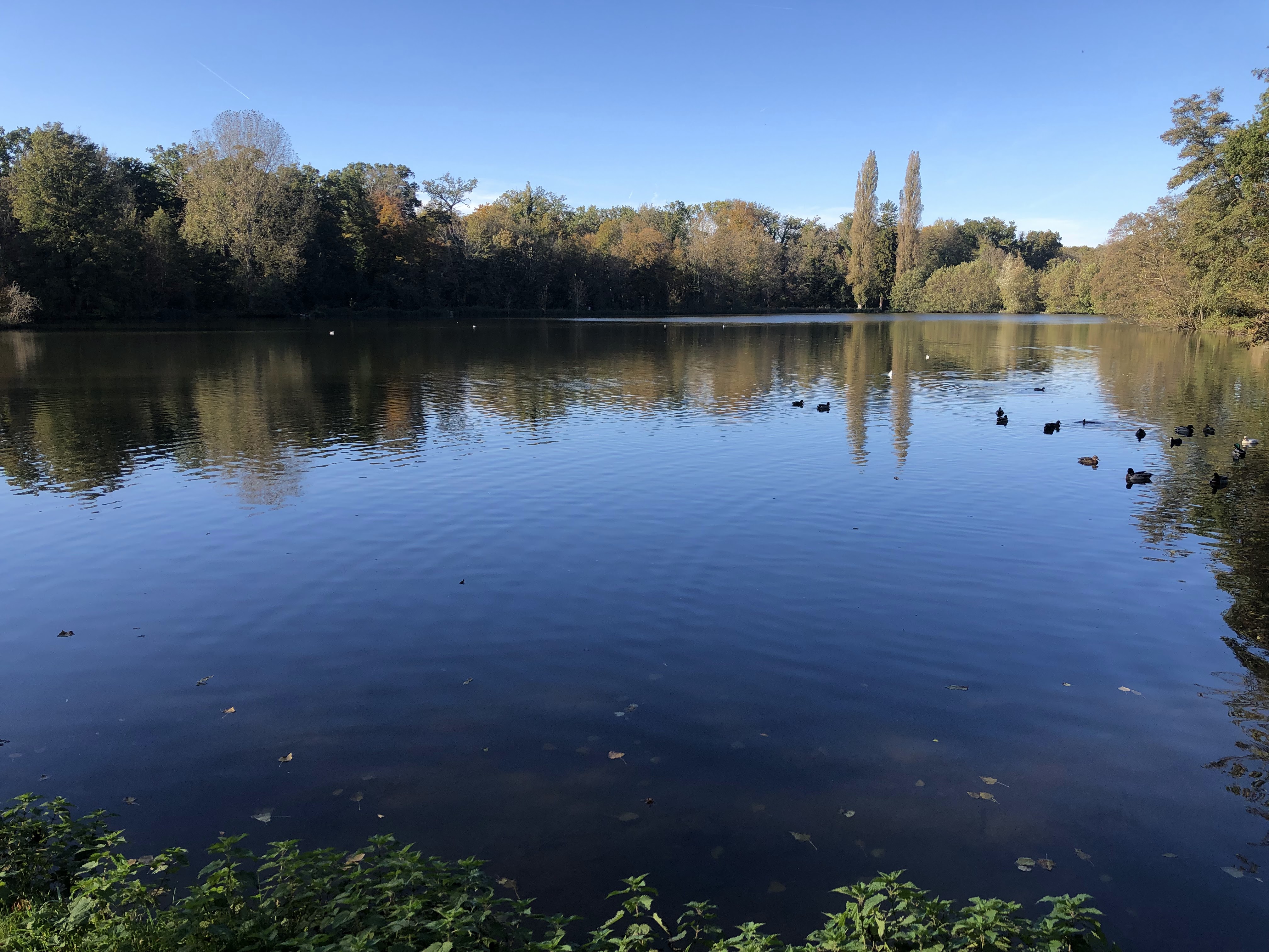 Photo n° 5 de l'avis de Mickael.e fait le 09/10/2019 à 20:50