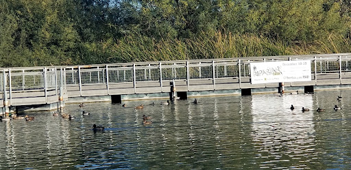 National Reserve «Riparian Preserve at Water Ranch», reviews and photos, 2757 E Guadalupe Rd, Gilbert, AZ 85234, USA