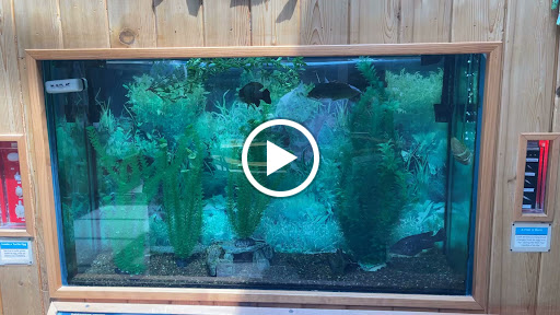 Nature Preserve «River Trail Nature Center», reviews and photos, 3120 Milwaukee Ave, Northbrook, IL 60062, USA