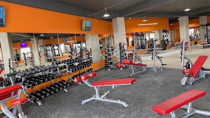 Hard Training Gym - Plaza Coronel” Av, Prol. Cnel. Romero 110-5to piso, Colonia Centro, 78000 San Luis, S.L.P., Mexico