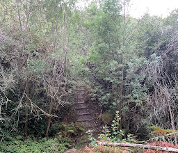 Pledge Nature Reserve photo