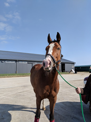 Car Racing Track «Hollywood Gaming at Mahoning Valley Race Course», reviews and photos, 655 N Canfield Niles Rd, Youngstown, OH 44515, USA