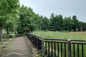 Doyonofurusato Nogiku Park image