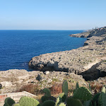 Photo n°1 de l'avis de Anton.e fait le 27/10/2019 à 12:39 sur le  Venus Sea Garden Hotel à Augusta