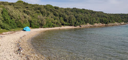 Lost beach'in fotoğrafı #43 ile birlikte