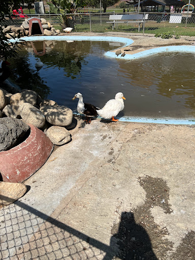 Park «Montebello Barnyard Zoo», reviews and photos, 600 Rea Dr, Montebello, CA 90640, USA
