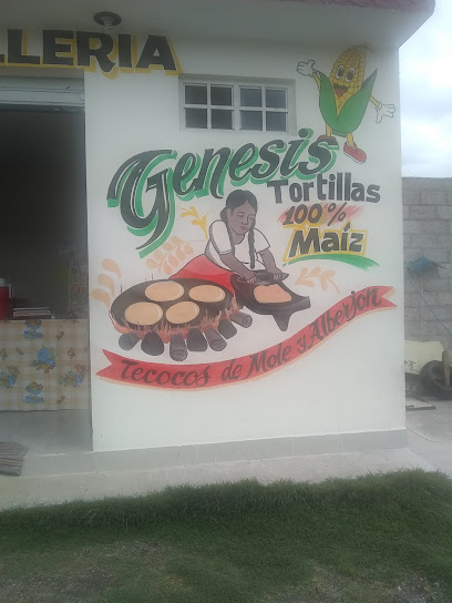 Tortilleria Génesis