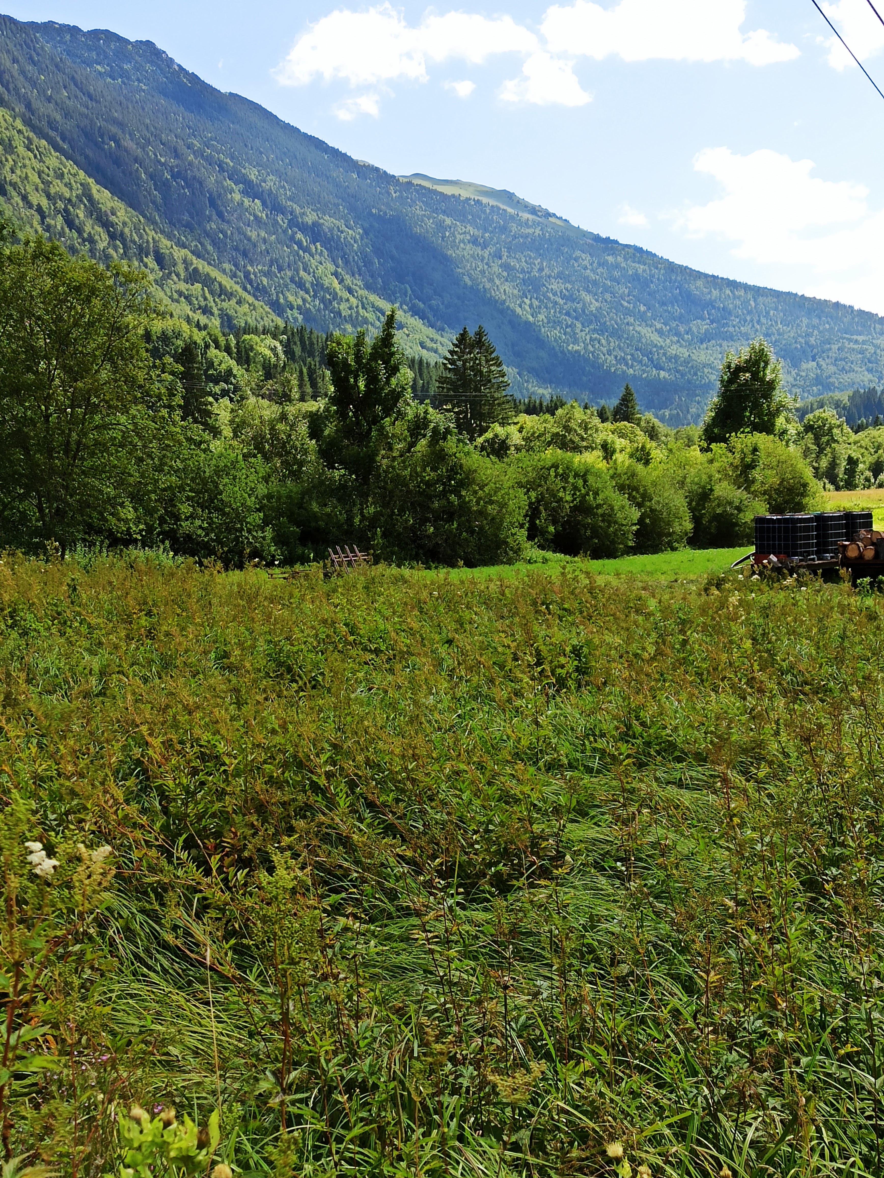Photo n° 16 de l'avis de Doume.e fait le 30/07/2021 à 10:35