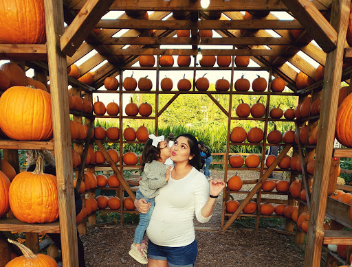 Pumpkin patch Riverside