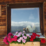 Photo n°1 de l'avis de Helga.i fait le 26/08/2019 à 19:25 sur le  Berggaststätte Hirschkaser à Ramsau bei Berchtesgaden