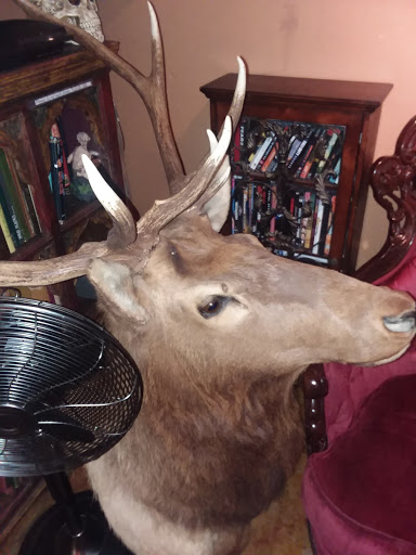 Tattoo Shop «Clovis Ink Tattoo», reviews and photos, 91 W Shaw Ave, Clovis, CA 93612, USA