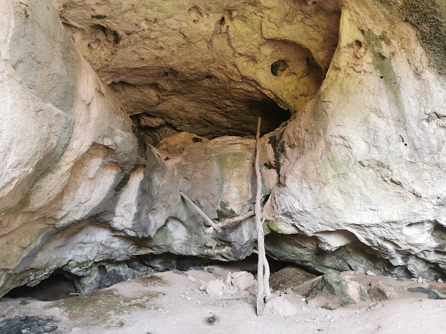 Пещерата с дървото - Ботуня - Музей