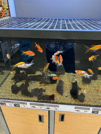 Pet Supply Store «Petco Animal Supplies», reviews and photos, 24413 Crenshaw Blvd #8, Torrance, CA 90505, USA