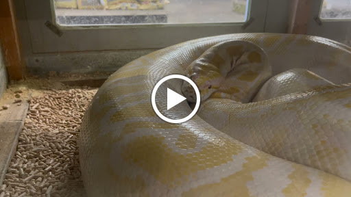 Reptile Store «La Habra Pets», reviews and photos, 1919 W La Habra Blvd, La Habra, CA 90631, USA