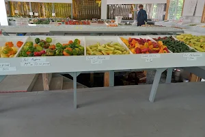 Section Farm Market image