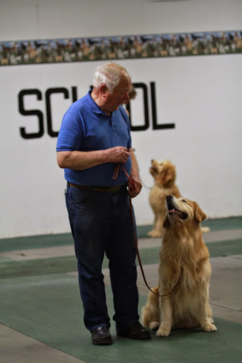 Pet Supply Store «F-M Dog Obedience School», reviews and photos, 1214 Main Ave, Moorhead, MN 56560, USA