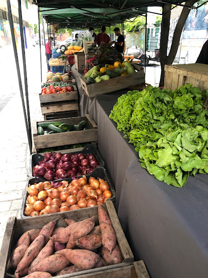 Mercado de Productores Orgánicos