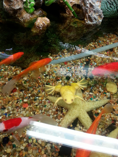 Pet Supply Store «Pet Station Jackson», reviews and photos, 1617 E Michigan Ave, Jackson, MI 49202, USA