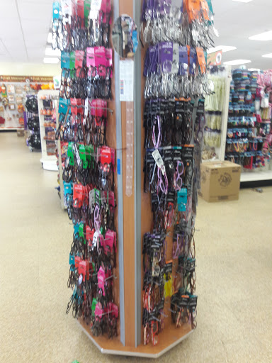 Dollar Store «Dollar Tree», reviews and photos, 101 S Coit Rd #80, Richardson, TX 75080, USA