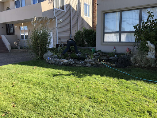 Tropical Fish Store «Aquarium Design Network», reviews and photos, 296 E Jericho Turnpike, Huntington Station, NY 11746, USA