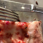 Photo n°4 de l'avis de rita.a fait le 10/03/2024 à 20:56 sur le  Albergo Ristorante La Madonnina à Buddusò