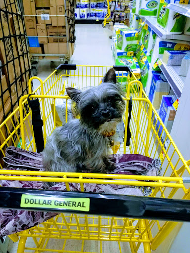 Discount Store «Dollar General», reviews and photos, 3226 Watson Blvd, Endwell, NY 13760, USA