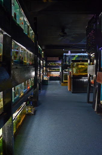 Aquarium Shop «Aquarium Outfitters Carolina», reviews and photos, 823 S Main St, Wake Forest, NC 27587, USA