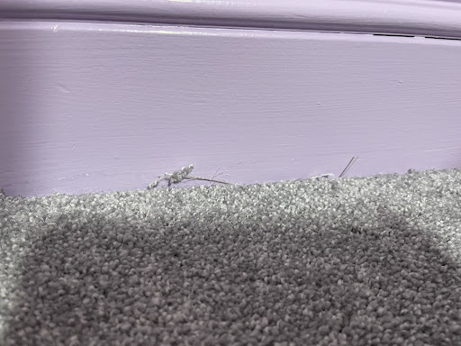 Home Improvement Store «The Home Depot», reviews and photos, 810 S Taylor St, Green Bay, WI 54303, USA