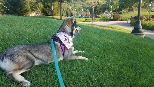 Arts Organization «Fairfield Community Arts Center», reviews and photos, 411 Wessel Dr, Fairfield, OH 45014, USA