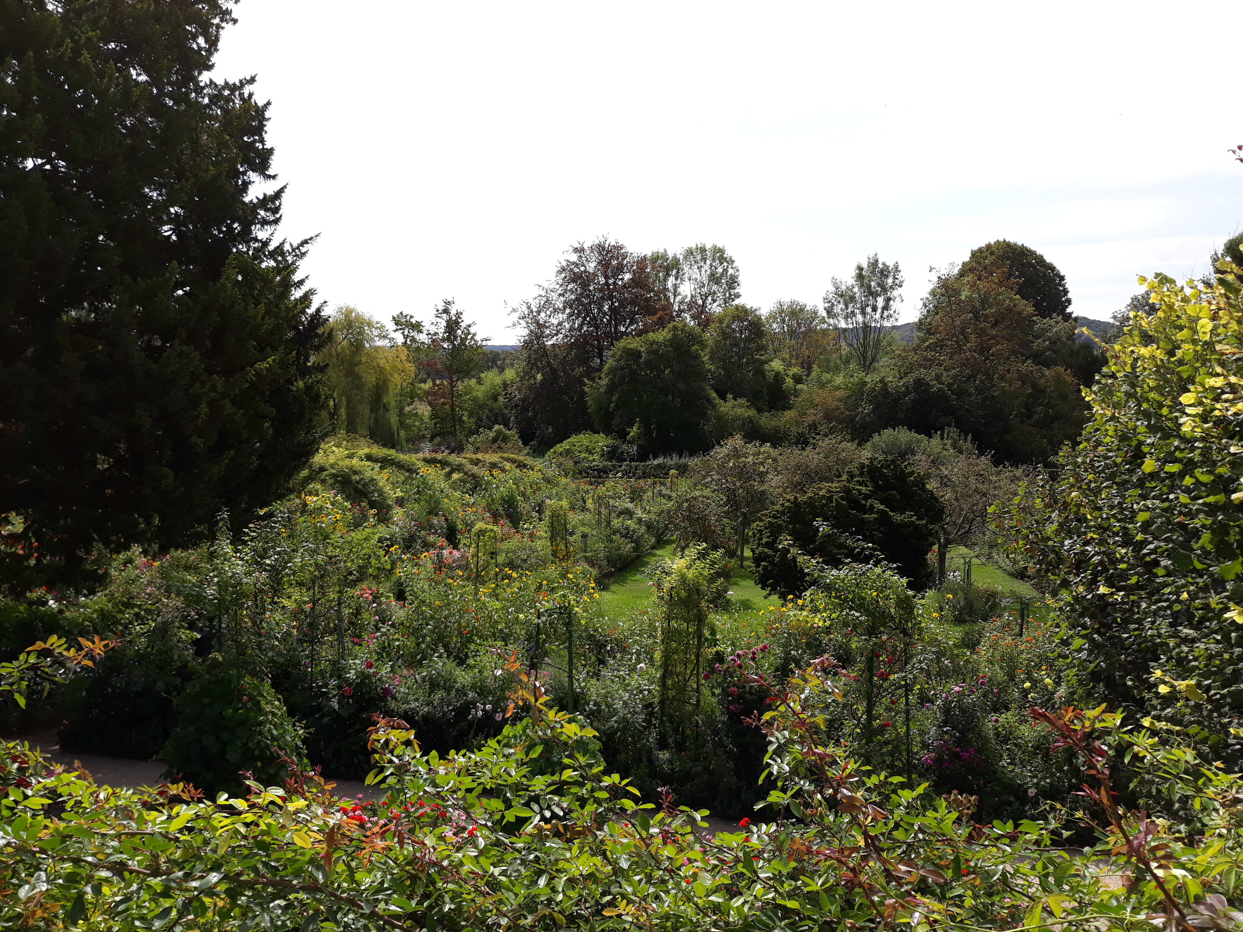 Photo n° 11 de l'avis de Zaj.h fait le 17/09/2018 à 16:50