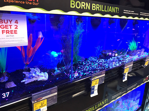 Pet Supply Store «PetSmart», reviews and photos, 131 Town Center Rd, King of Prussia, PA 19406, USA