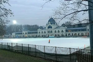City Park Ice Rink and Boating image