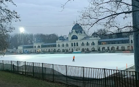 City Park Ice Rink and Boating image