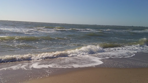 Gift Shop «North Beach Gift Shop», reviews and photos, 2901 Surfside Blvd, Corpus Christi, TX 78402, USA