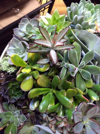 Grocery Store «Grand Food Center», reviews and photos, 606 Green Bay Rd, Winnetka, IL 60093, USA