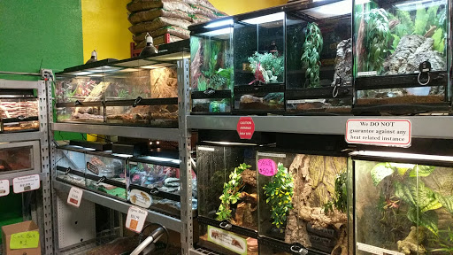 Pet Store «The Pet Shop», reviews and photos, 2235 S Power Rd #107, Mesa, AZ 85209, USA