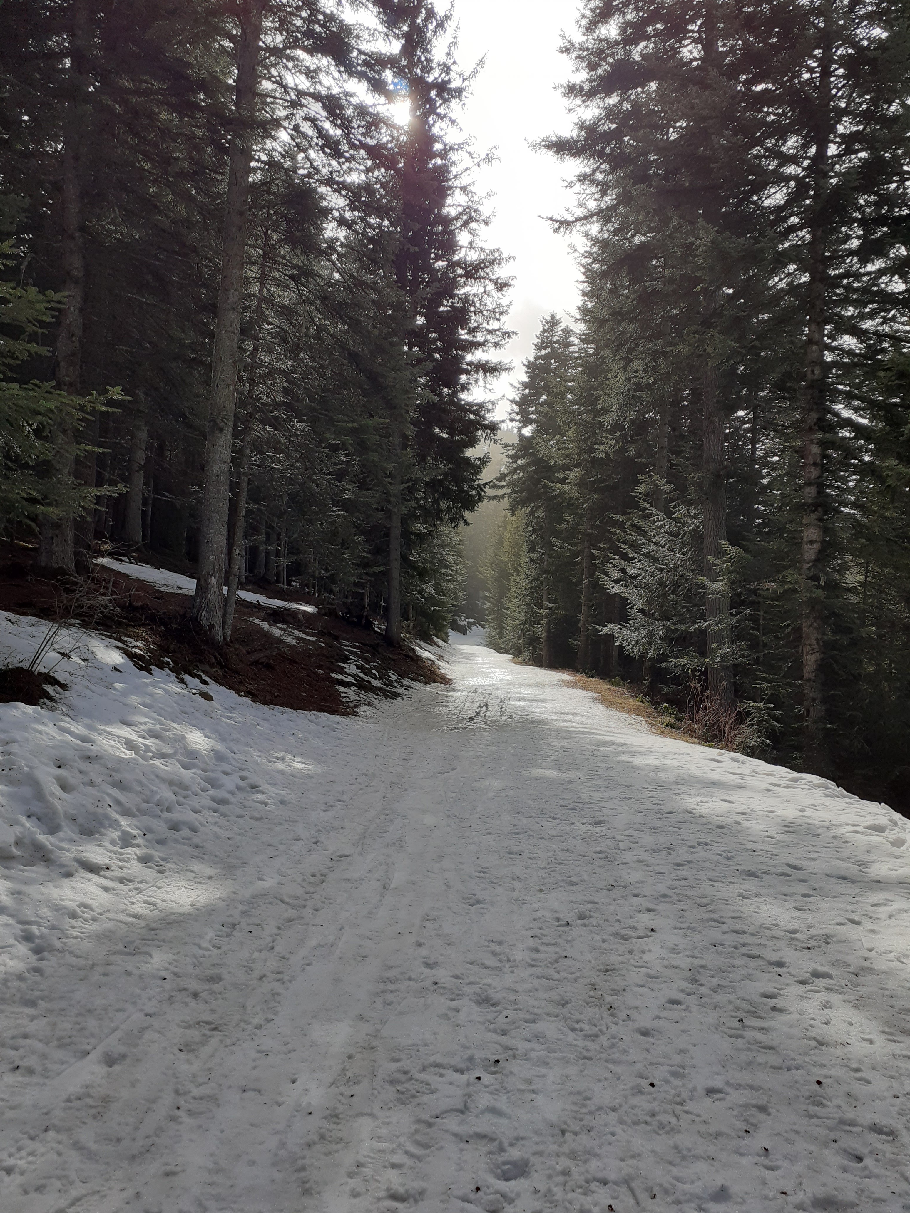 Photo n° 5 de l'avis de aubert.t fait le 23/02/2021 à 13:55