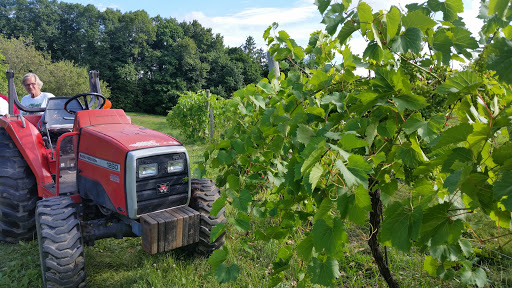 Winery «Parley Lake Winery», reviews and photos, 8280 Parley Lake Rd, Waconia, MN 55387, USA