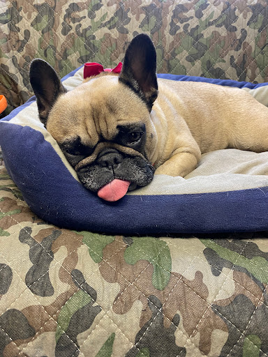 Bicycle Store «Bicycle Experience», reviews and photos, 1601 S Tejon St, Colorado Springs, CO 80905, USA